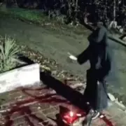 Shocking CCTV Captures Man's Brazen Daylight Attack on Elderly Woman in Street