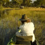 Shoebill Stork Lands on Tourist Boat in Jurassic Park Moment