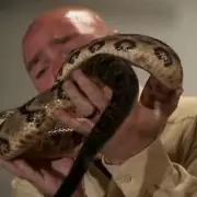 Snake-Handling Pastor Dies After Rattlesnake Bite in Church Service