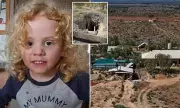 South Australia Police Conclude Mine Shaft Search for Missing Boy Gus Lamont