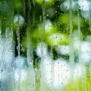 Stop Window Condensation with 2 Houseplants, Experts Reveal