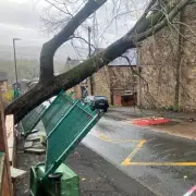 Storm Claudia: Huge Tree Crashes Into Tameside House
