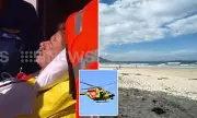 Swiss Tourist Killed in Bull Shark Attack at Australian Beach