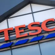 Tesco Recalls Celery & Nut Salad Over Mustard Allergy Risk