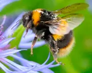 The Guardian Thursday Quiz: Test Your News Knowledge Now