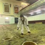 Toxic Mushrooms Spark Biohazard Alert in Abandoned Bournemouth Bingo Hall