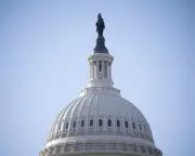 Trump Hosts Top CEOs at White House to Forge Economic Alliance