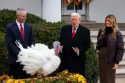 Trump's Turkey Pardon Chaos: Jokes Fall Flat in Bizarre White House Spectacle