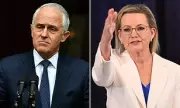 Turnbull Warns: Liberal Party's Net Zero U-Turn Will Cost Them Power