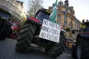 UK Farmers Defy Police Ban in Whitehall Budget Day Protest