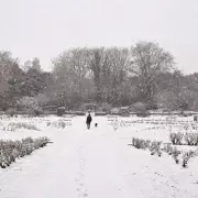 UK Snow Alert: 7 Essential Items Every Household Needs for Winter Storms