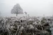 UK Snow Warning: Met Office Forecasts November Freeze