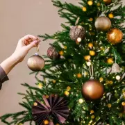 UK Supermarket Christmas Tree Deals 2025: Best Prices at Tesco, Asda & More