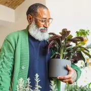 UK's Top Houseplants & Winter Heating Survival Guide