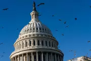 US Government Shutdown Enters 38th Day as Senate Prepares 15th Vote