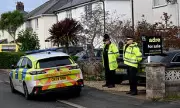 XL Bully dog kills baby in Wales, two arrested on suspicion of neglect