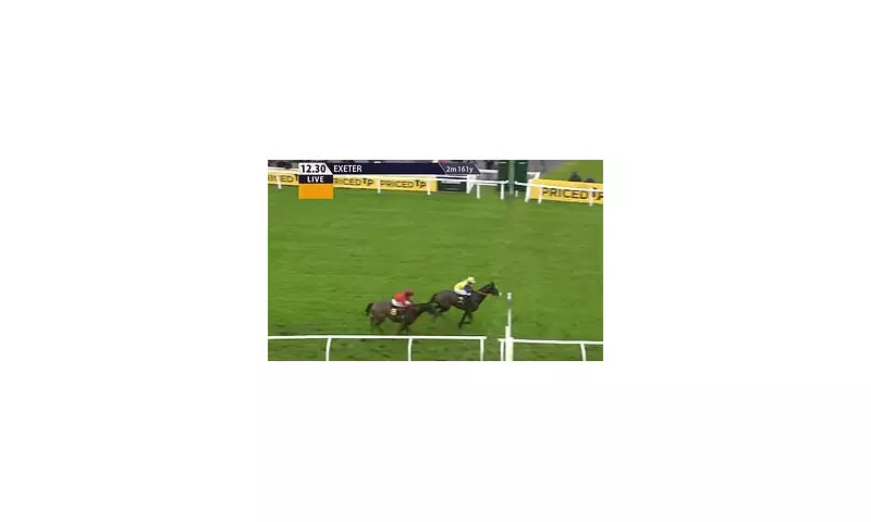 300-1 Shot Blowers Smashes British Racing Record at Exeter