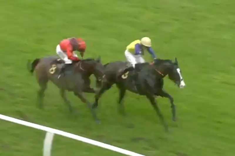 300/1 Outsider Blowers Makes UK Horse Racing History at Exeter