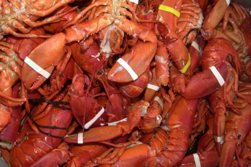 $400K Lobster Shipment Hijacked En Route to Costco in Organised Heist