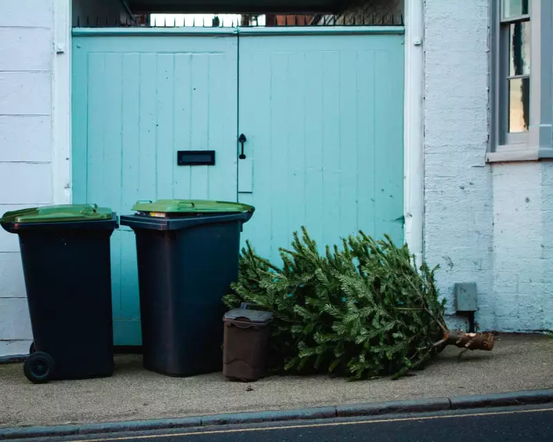 5 Earth-Friendly Ways to Tackle Your Post-Holiday Waste in the UK
