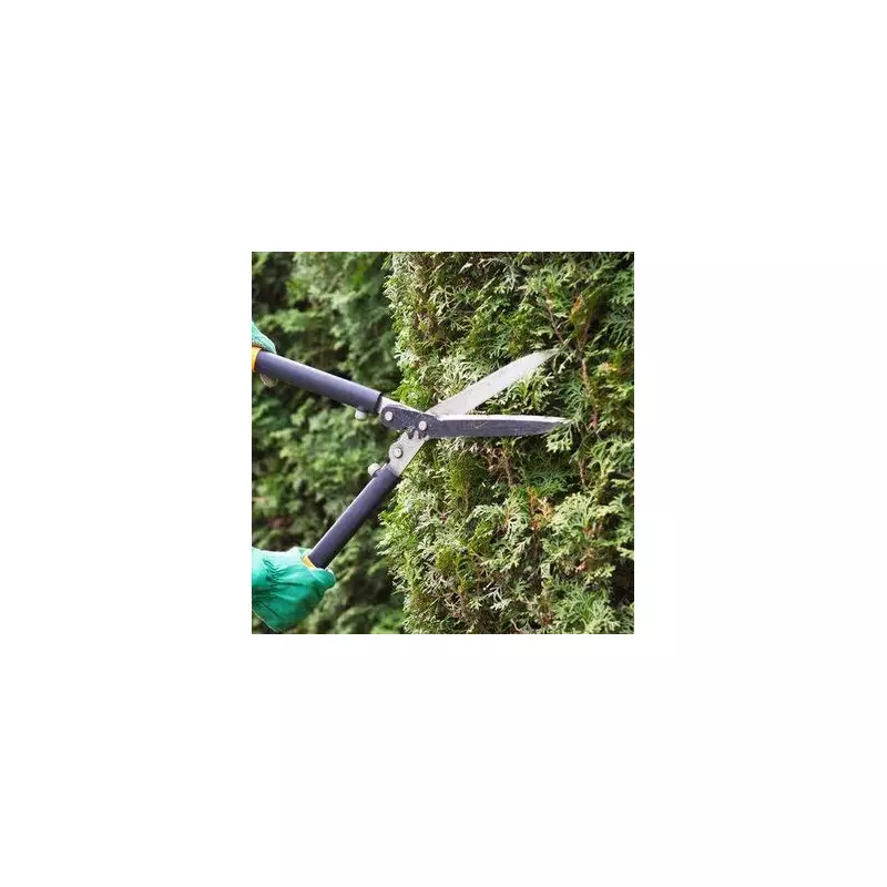 6 Garden Projects to Earn Extra Cash Before Christmas