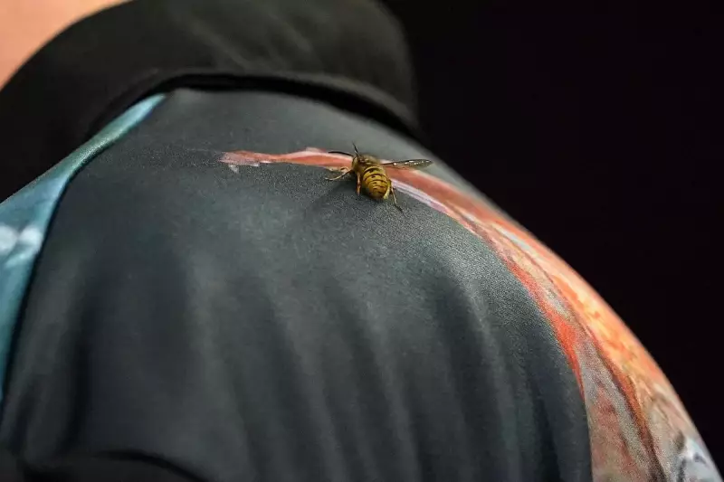 Ally Pally Wasp Plagues World Darts Championship, Disrupts Players