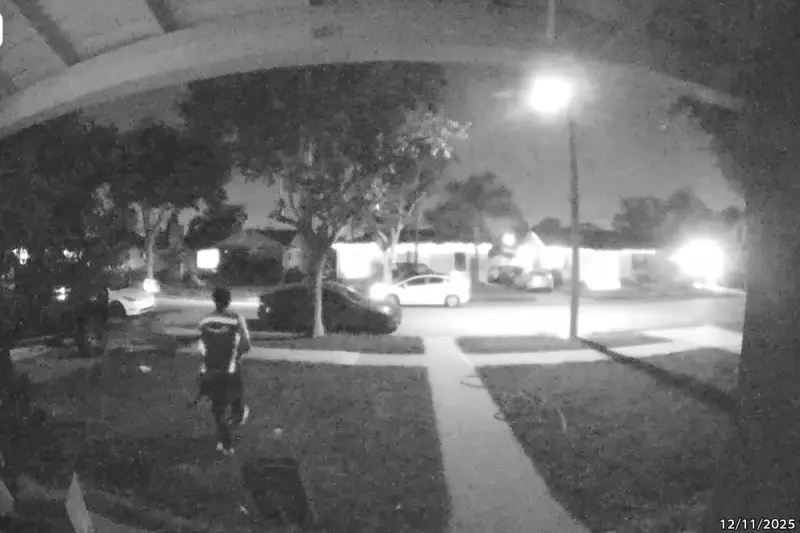 Amazon Driver Accused of Stealing Cat in California, Sparking Desperate Search