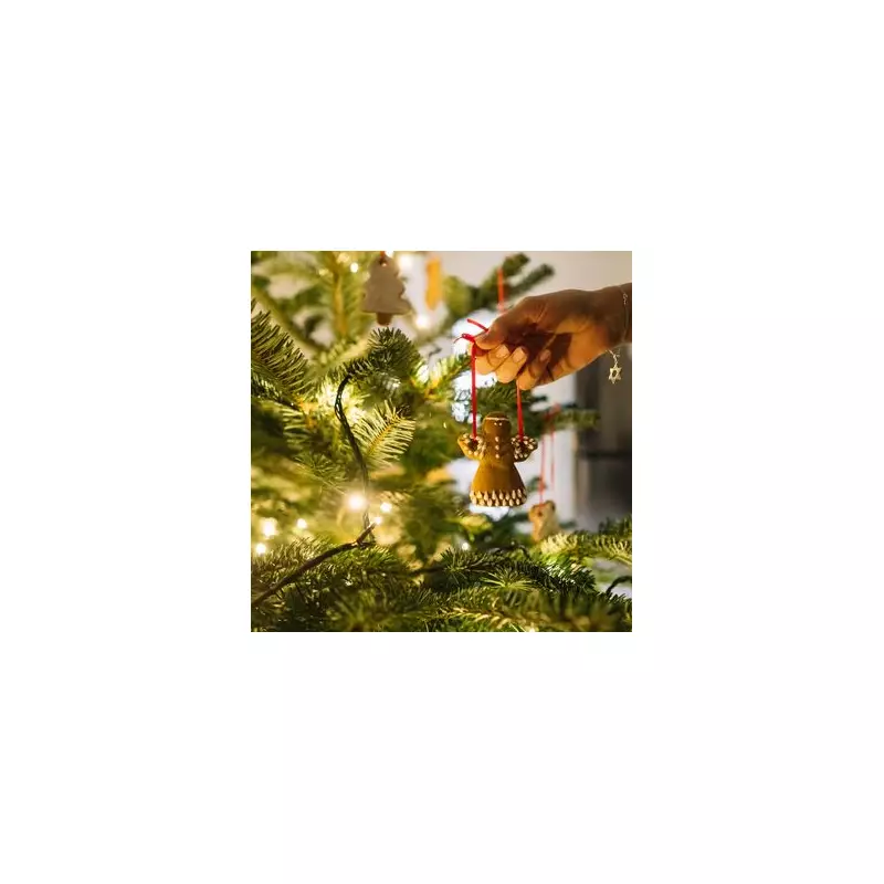 Angel Tree Backlash: Woman Criticised for Calling Kids 'Greedy' Over iPhone Requests