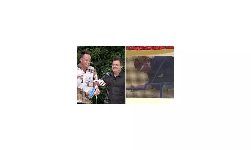 Ant and Dec Struggle to Contain Laughter as AngryGinge Faces Spider-Filled Trial