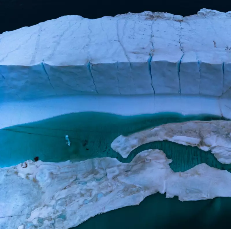 Arctic Warming at Double Global Rate in Hottest Year on Record