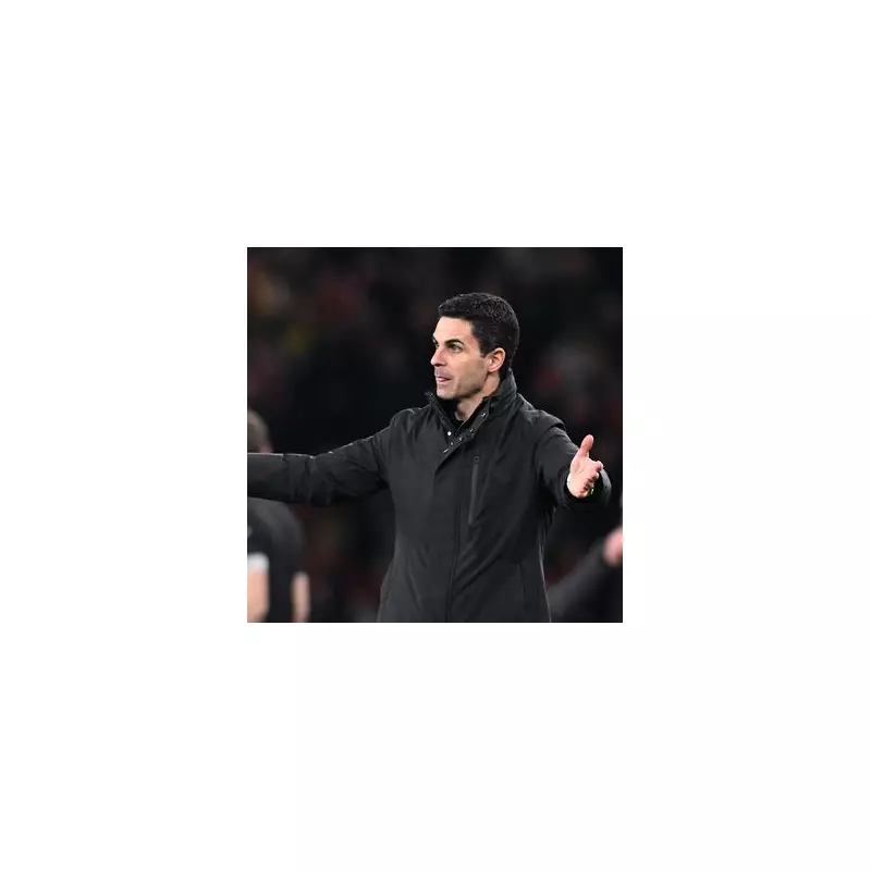 Arsenal legend Nigel Winterburn defends Mikel Arteta amid 'agenda' claims