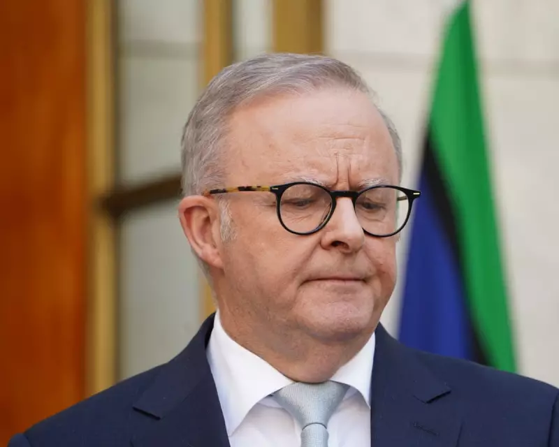 Australia's PM Albanese unveils new laws to combat antisemitism after Sydney massacre