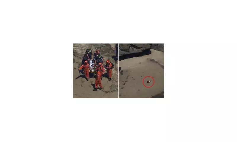 Austrian tourist's 6m fall at Elephant Rock sparks major Victoria rescue