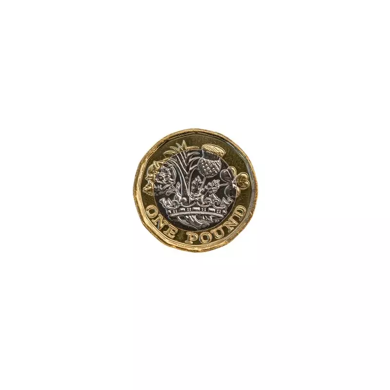 Bee £1 coin: The 'super-rare' treasure that's now just spare change