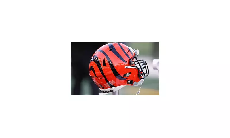 Bengals Reporter Jay Morrison Steps Away After Wife's Tragic Death