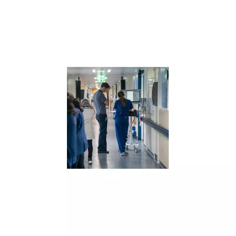 BMA Denies Christmas Strike Will Cost Lives as Flu Hits Record High