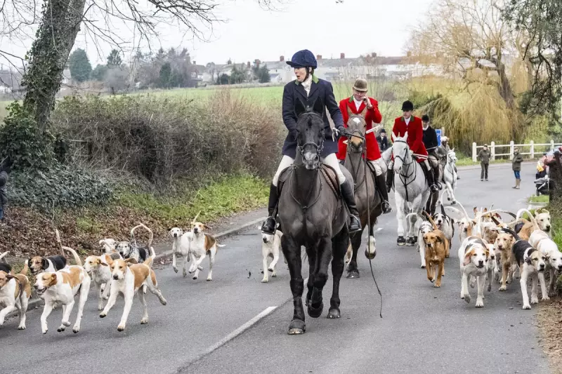Boxing Day Hunts Vow to Fight Starmer's Trail Ban as Rural Backlash Grows