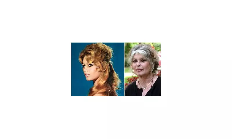 Brigitte Bardot Dies at 91: The 'Sex Kitten' Who Shocked the World and Became a French Icon