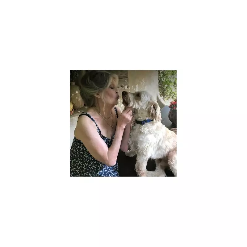 Brigitte Bardot's Final Instagram Post Before Death at 91 Revealed