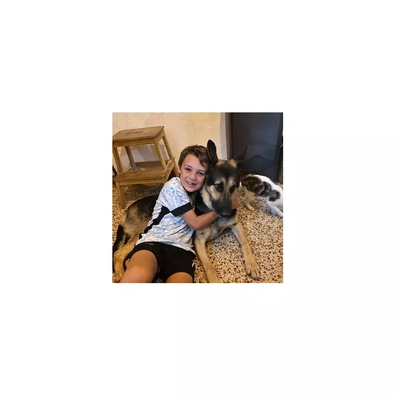 Brit boy, 13, stabbed in Portugal 'defending mum' from violent ex