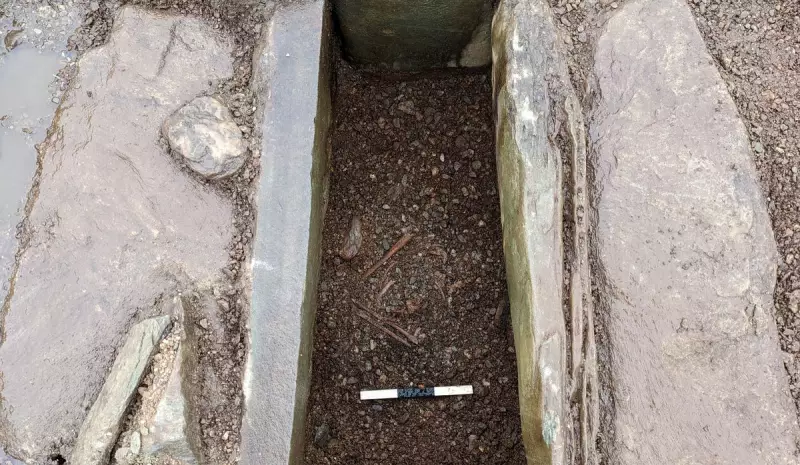 Bronze Age Secrets Uncovered: Farmer Finds 4,000-Year-Old Remains on Bute