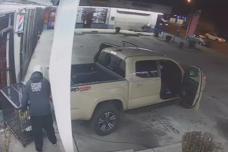 Burglars Ram Truck Into LA Barber Shop, Steal $2,000 Savannah Cat