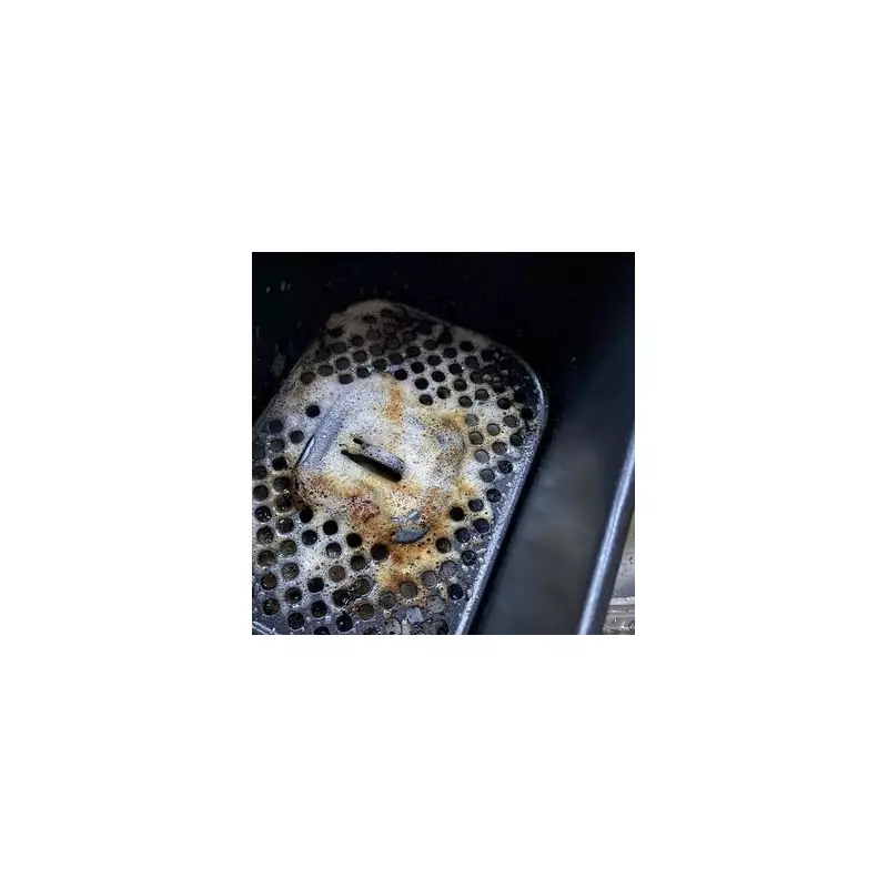 Burnt-On Air Fryer Grease Removed in 5 Minutes With One 'Magic' Product