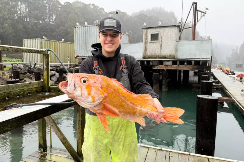 California Fisherman Lands Potential World Record 10.25-Pound Canary Rockfish