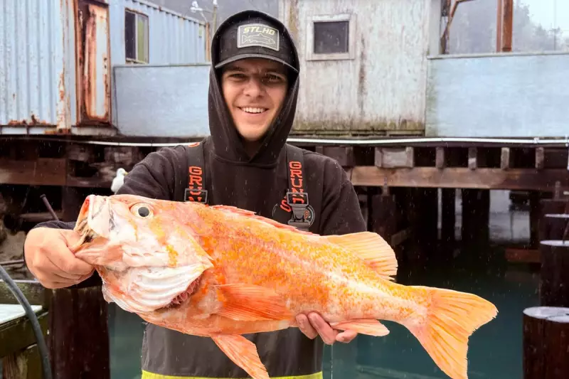 California Fisherman's 10.25lb Catch Could Shatter Rockfish Records