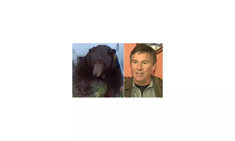 California Homeowner Threatens to Sue State After 550-Pound Bear Evades Capture
