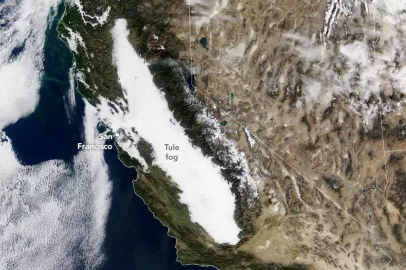 California's 'Radiation Fog' Mystery Explained: No Nuclear Threat
