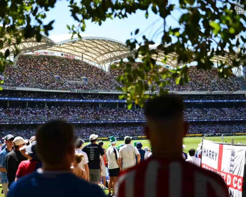 Carey's Century Steadies Australia in Scorching Adelaide Ashes Test