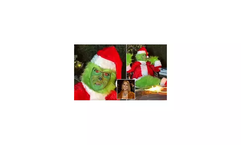 Celine Dion Dresses as The Grinch in Festive Instagram Video Amid Health Battle