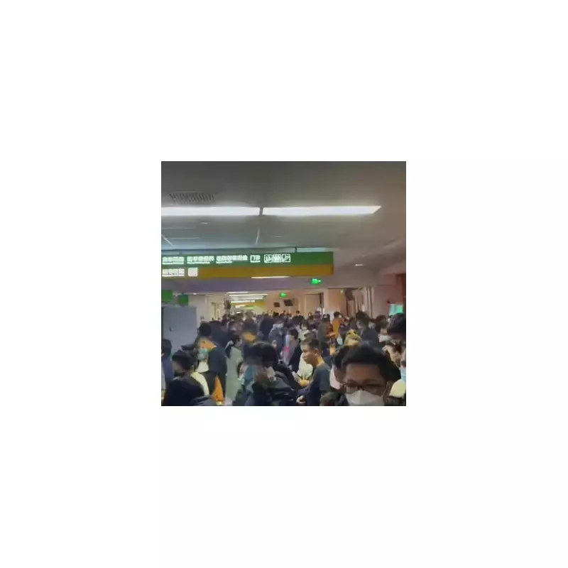 China's H3N2 Influenza Surge: Hospitals Overwhelmed as 17 Provinces Hit